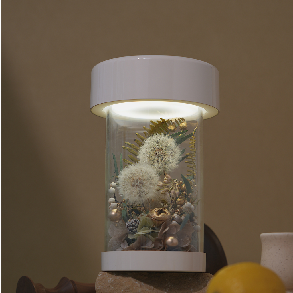 Luminea in dandelion