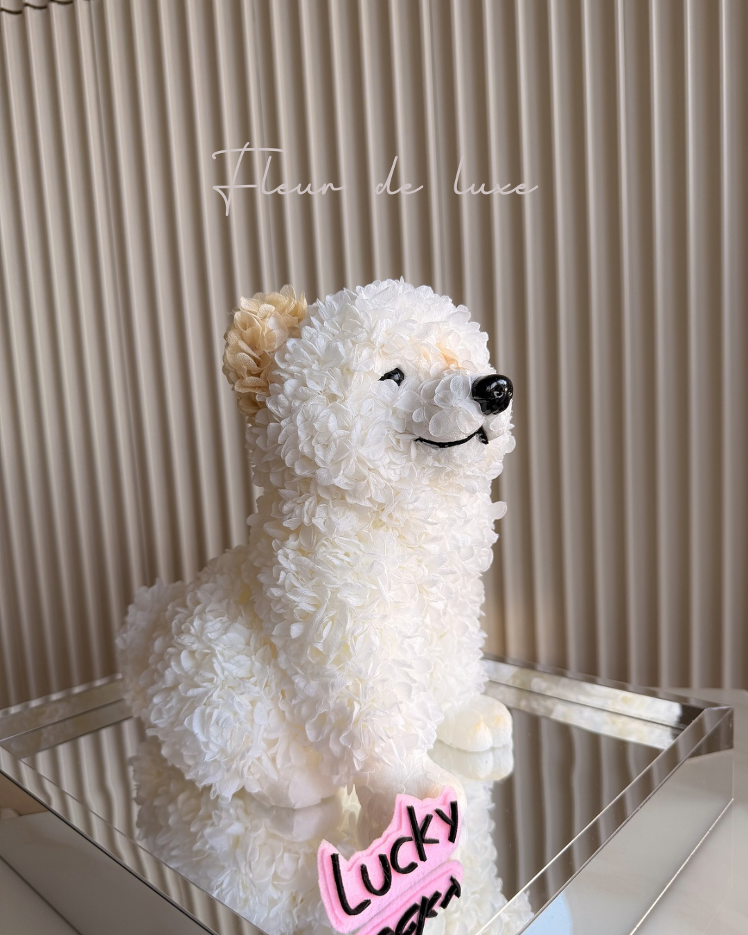 Custom Pet Lucky – Made Just for You