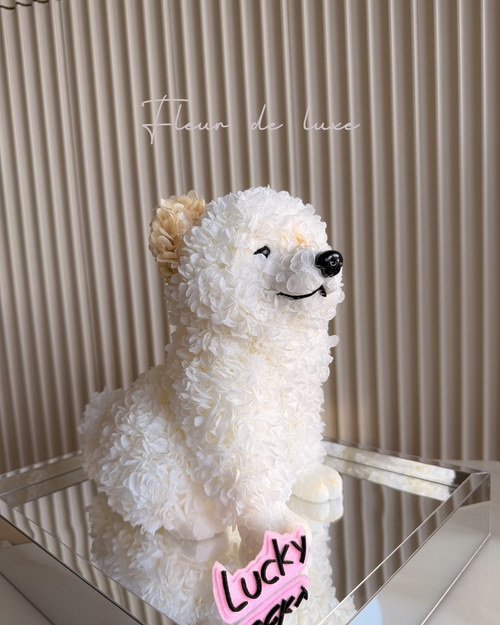 Custom Pet Lucky – Made Just for You