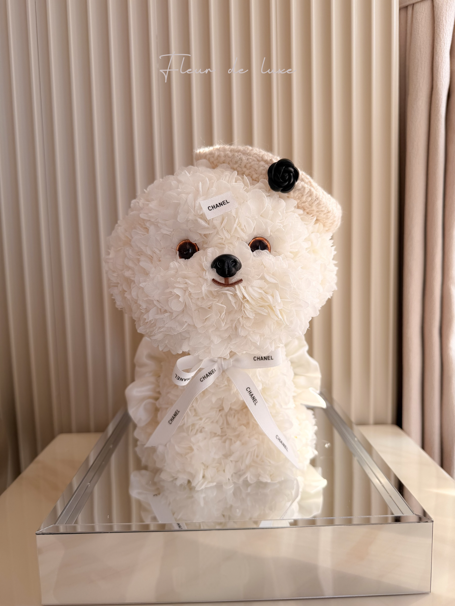 Camellia Maltese