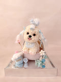 CHIC HAIR MALTESE