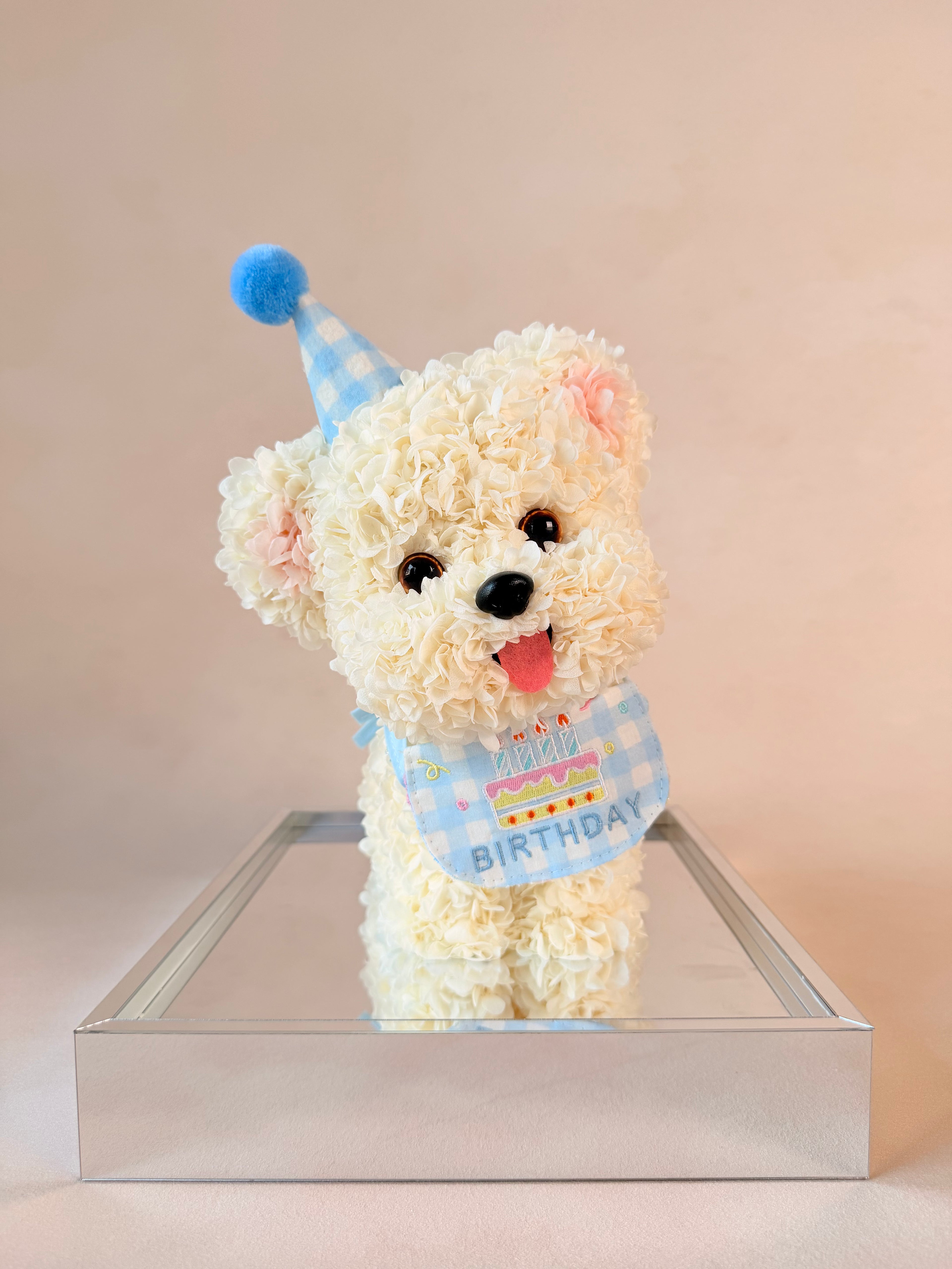 B-DAY BICHON