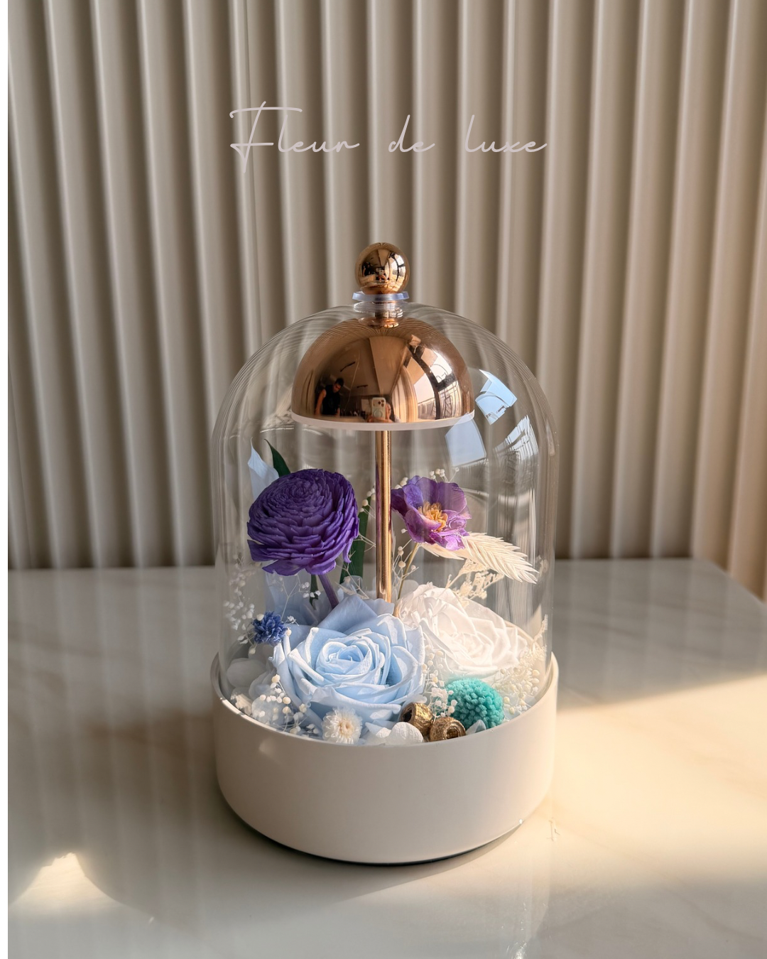 Eterna Dome collection