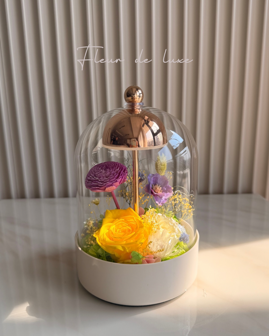 Eterna Dome collection