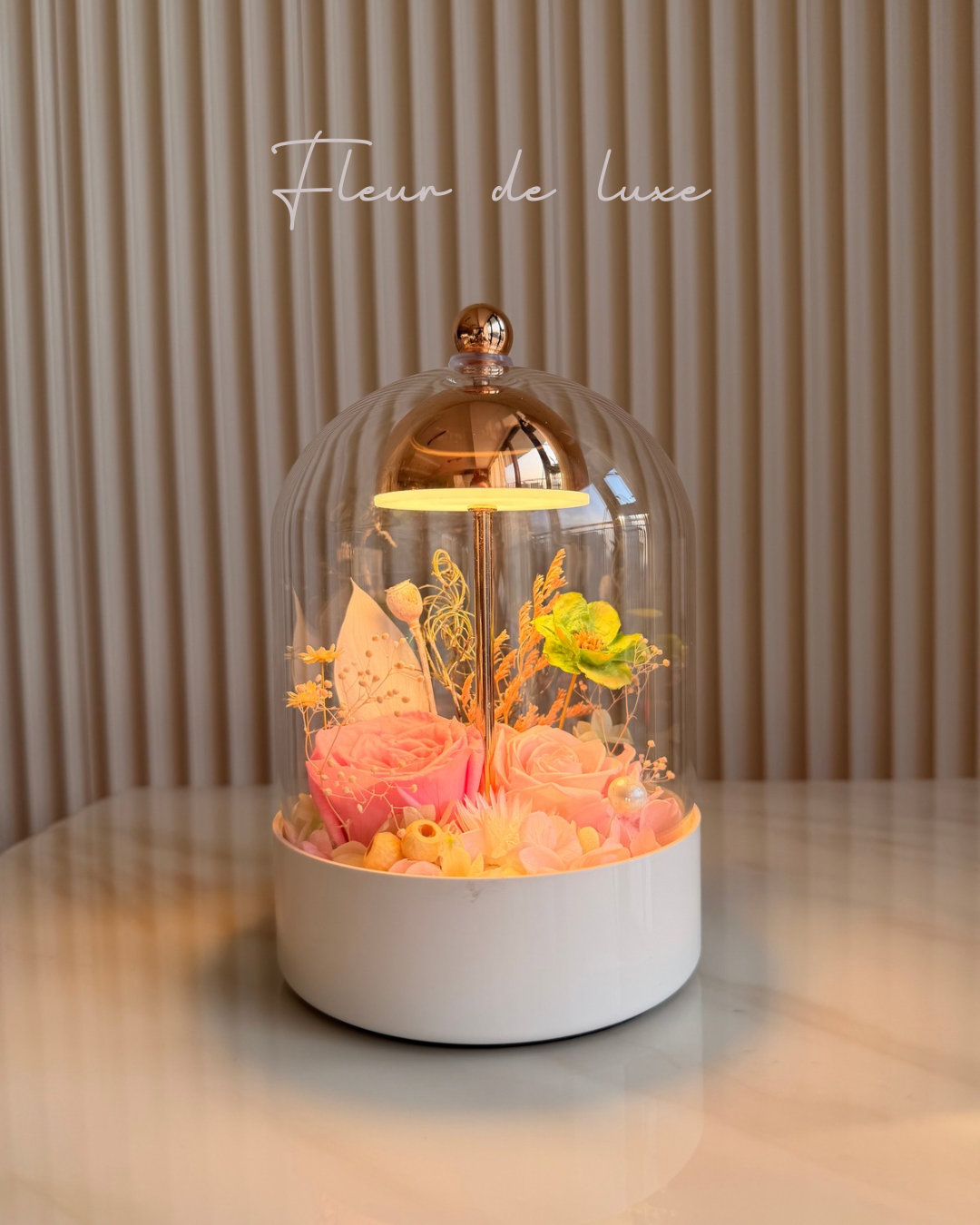 Eterna Dome collection