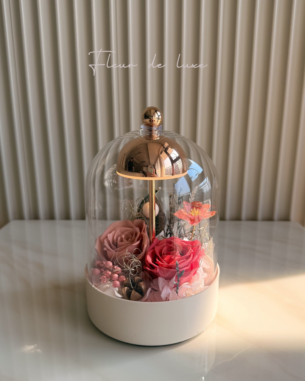 Eterna Dome collection