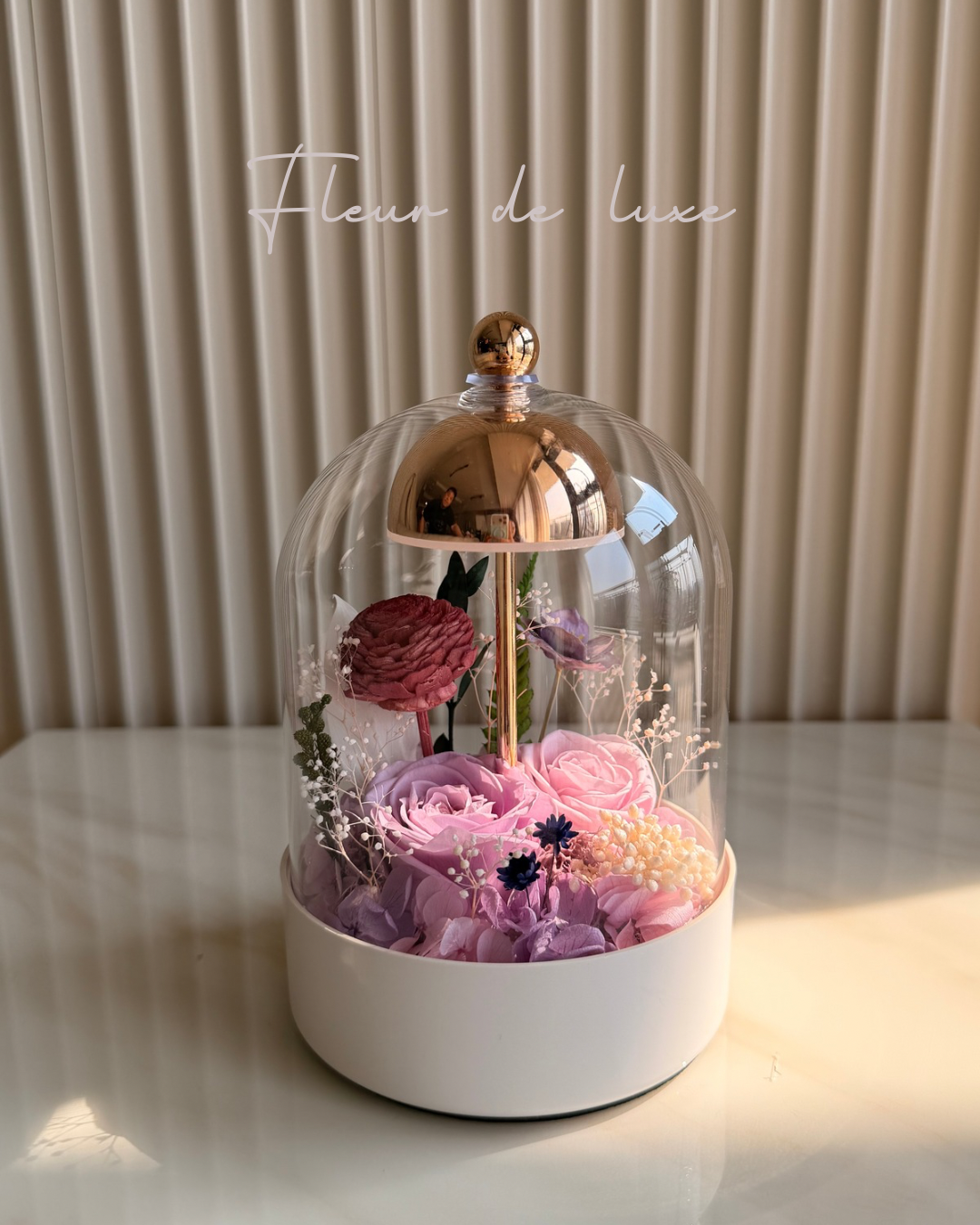 Eterna Dome collection