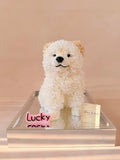 Lucky – Custom Preserved Flower Dog